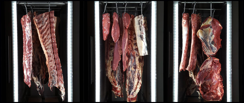 Dry age 5